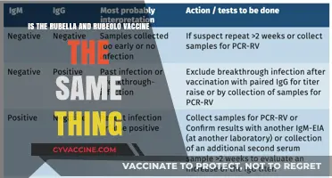 Rubella vs. Rubeola Vaccine: Understanding the Key Differences and Similarities