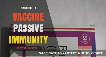 Exploring Rubella Vaccine: Does It Confer Passive Immunity?