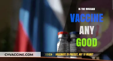Exploring the Effectiveness of Russia's COVID-19 Vaccine: A Comprehensive Analysis