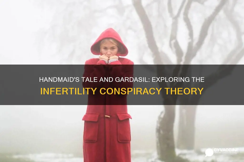 is the series handmaid