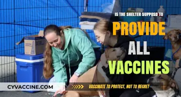 Are Shelters Required to Provide All Vaccines for Adopted Pets?