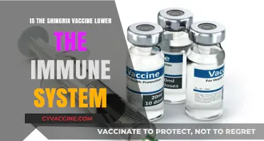 Does the Shingrix Vaccine Weaken Your Immune System? Facts Revealed