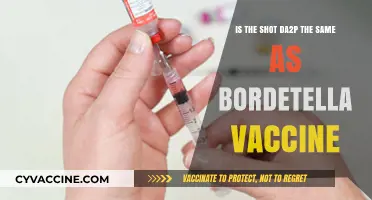 DA2PP vs. Bordetella Vaccine: Understanding the Differences for Your Pet