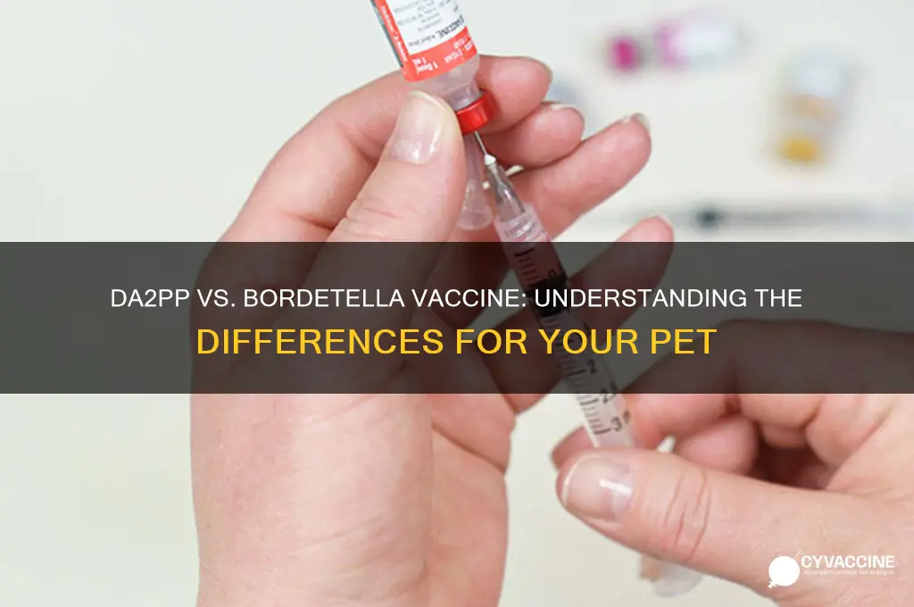 is the shot da2p the same as bordetella vaccine