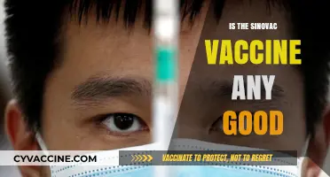 Evaluating the Sinovac Vaccine: Efficacy and Safety Insights