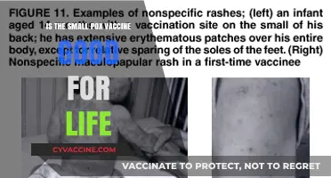 Is the Smallpox Vaccine Effective for a Lifetime?