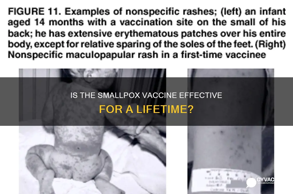 is the small pox vaccine good for life