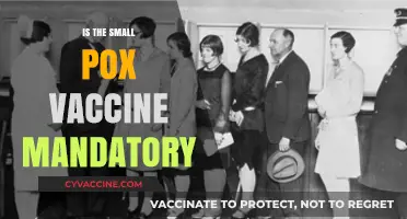 Exploring the Necessity: Is the Smallpox Vaccine Mandatory?
