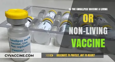 Is the Smallpox Vaccine Alive? Exploring Living vs. Non-Living Vaccines