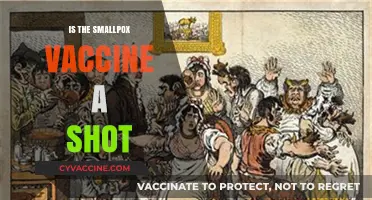 Debunking Myths: The Truth About the Smallpox Vaccine
