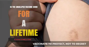 Does the Smallpox Vaccine Provide Lifelong Immunity? What We Know