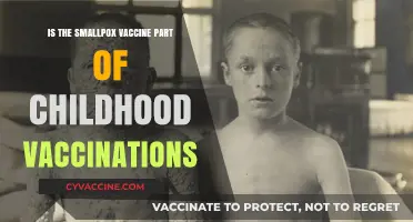 Is the Smallpox Vaccine Included in Childhood Immunizations Today?