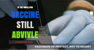 Exploring the Availability of the Smallpox Vaccine Today