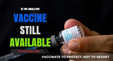 Exploring the Current Availability of the Smallpox Vaccine