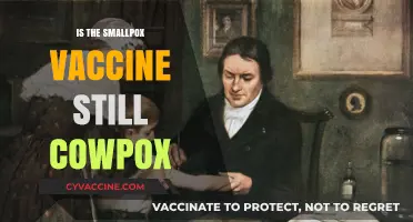 Unraveling the Connection: Smallpox Vaccine and Cowpox Origins