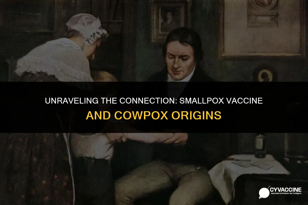 is the smallpox vaccine still cowpox