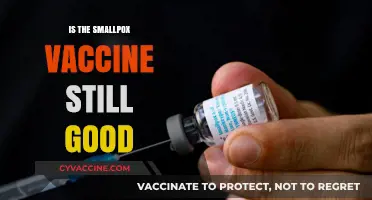 Exploring the Longevity of Smallpox Vaccine: Is It Still Effective?