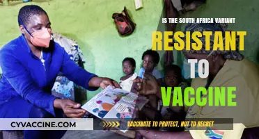 South Africa COVID-19 Variant: Vaccine Resistance Concerns Explained