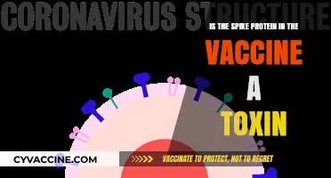 Is the COVID-19 Vaccine Spike Protein a Toxin?