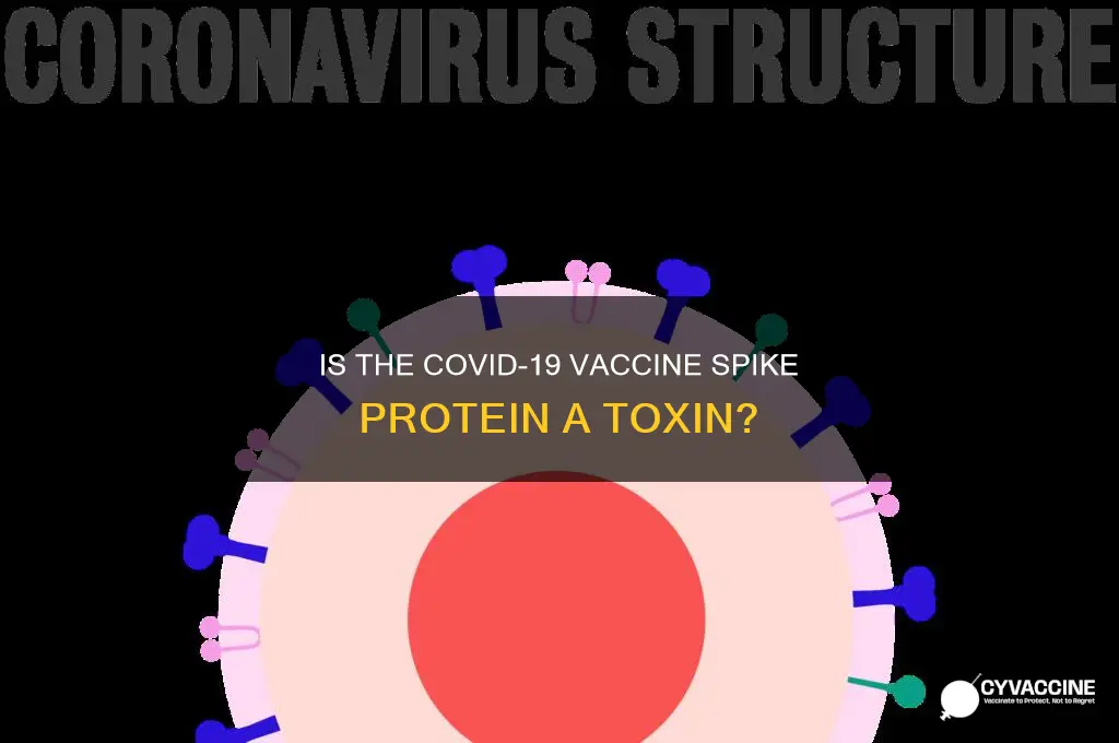 is the spike protein in the vaccine a toxin