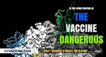 Vaccine Spike Protein Safety: Debunking Myths and Addressing Concerns