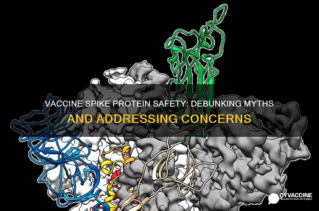 is the spike protein in the vaccine dangerous