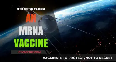 Sputnik V: Understanding Its Technology and mRNA Vaccine Differences