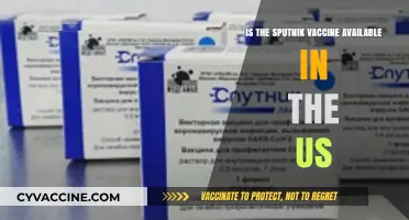 Is Sputnik Vaccine Accessible in the United States? Key Facts
