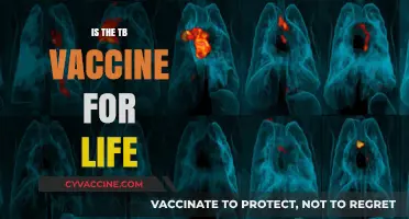 Lifelong Immunity: The Truth About the TB Vaccine