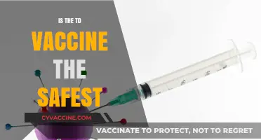 Exploring the Safety Profile of the TD Vaccine: Facts and Myths
