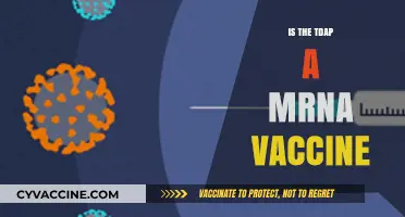 Unraveling the Science: Is the Tdap Vaccine mRNA-Based?