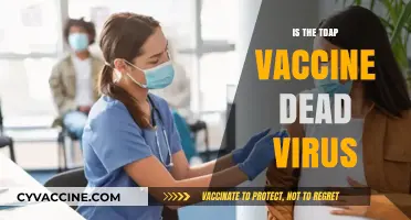 Understanding the TDAP Vaccine: Does It Contain Dead Viruses?