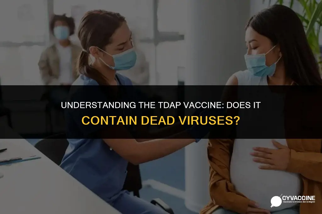 is the tdap vaccine dead virus