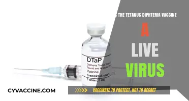 Tetanus Diphtheria Vaccine: Live Virus or Not? Explained