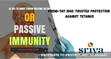 Tetanus Toxoid Vaccine: Active or Passive Immunity Explained
