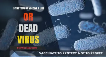 Tetanus Vaccine: Live or Dead Virus? Unraveling the Truth