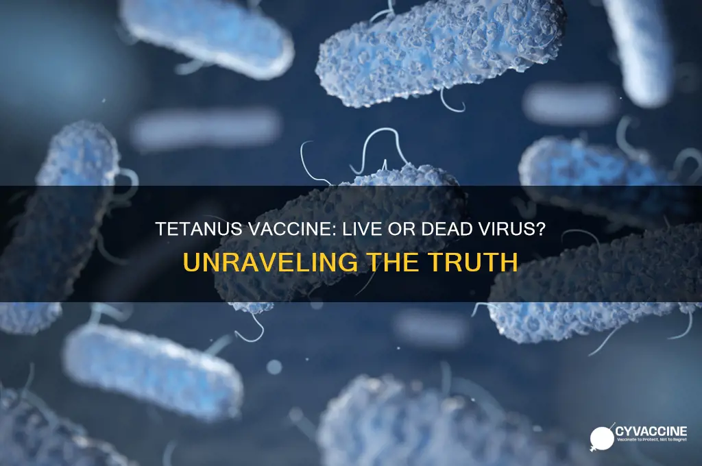 is the tetanus vaccine a live or dead virus