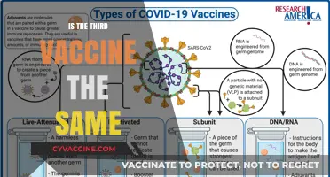 Exploring the Similarities and Differences of the Third Vaccine