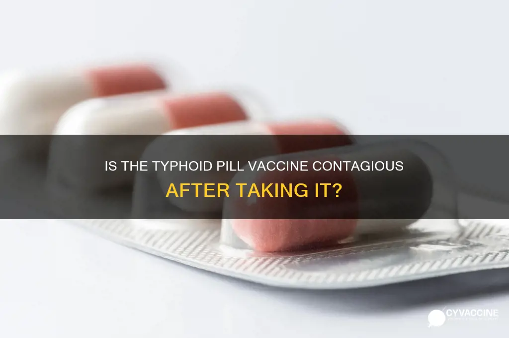 is the typhoid pill vaccine contagiouse after takkng