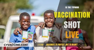 Understanding Typhoid Vaccination: Is the Shot Live or Inactivated?