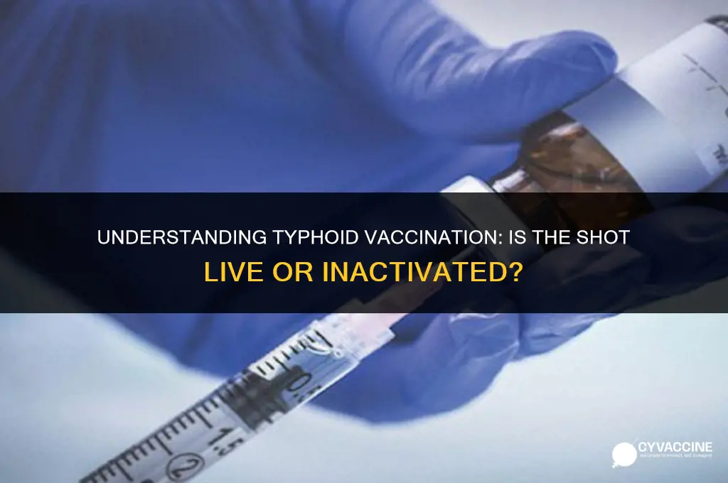 is the typhoid vaccination shot live