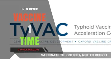 Understanding Typhoid Vaccination: A One-Time Shot or Not?