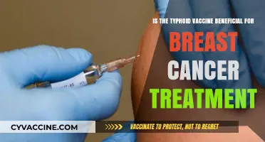 Typhoid Vaccine's Potential Role in Breast Cancer Treatment: Exploring Benefits
