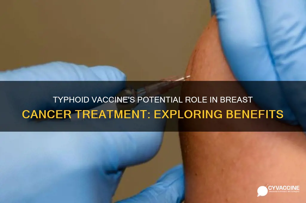 is the typhoid vaccine beneficial for breast cancer treatment