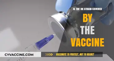 UK Strain and Vaccines: Are We Protected Against the Variant?