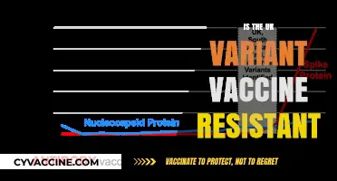 Exploring the UK Variant: Is the Vaccine Holding Up?