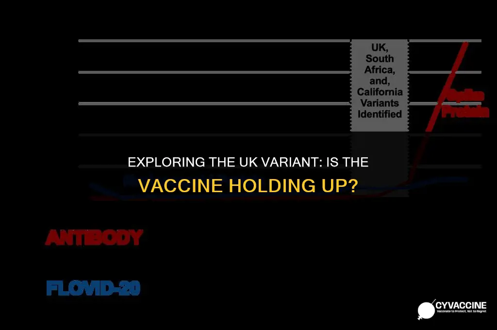 is the uk variant vaccine resistant