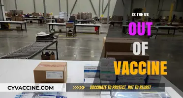 US Vaccine Supply: Current Status and Future Outlook
