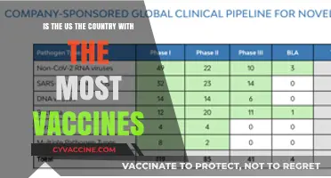 Is the US Leading Global Vaccination Efforts? A Comparative Analysis