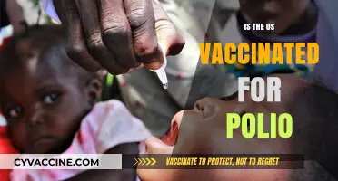 Polio Vaccination in the US: A Comprehensive Overview